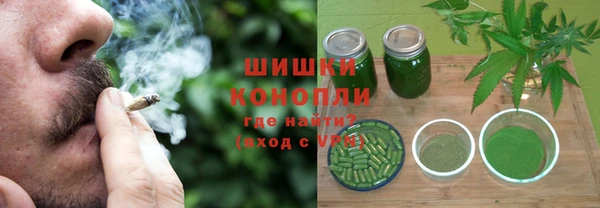 spice Богородицк