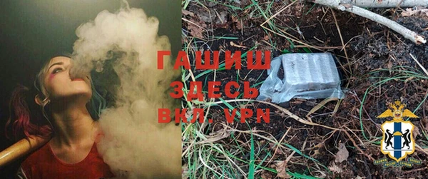 spice Богородицк