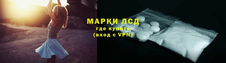 спайс Богданович