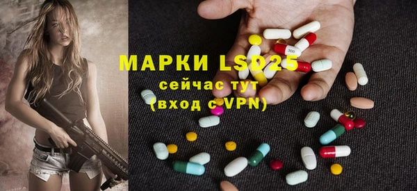 спайс Богданович