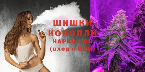 spice Богородицк