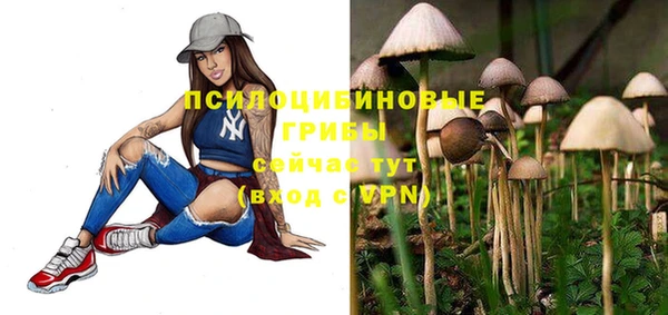 spice Богородицк