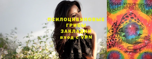 спайс Богданович