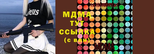 спайс Богданович