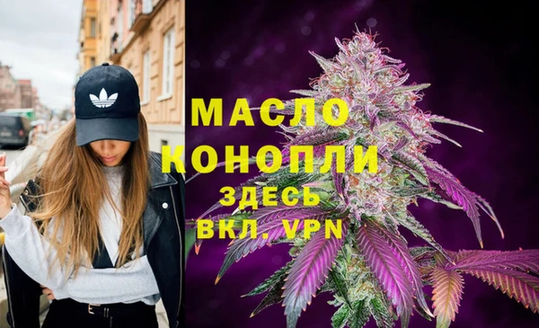 spice Богородицк