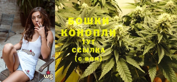 спайс Богданович